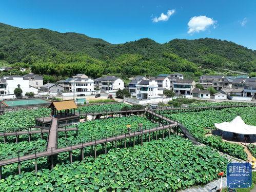 乡村美景大爆料视频大全,视频大全带你领略田园风光